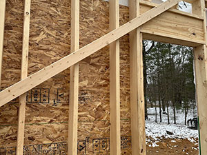New Construction Townhomes - Manor, TX2