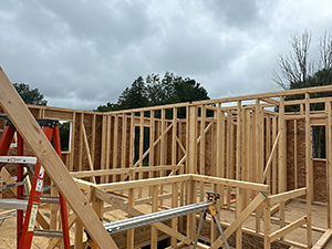Custom Home Design - Kyle, TX1