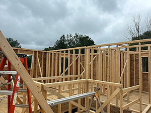 Custom Builders - Pflugerville, TX 1