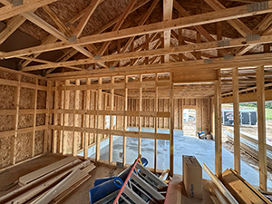 Custom Home Design – Pflugerville, TX 2