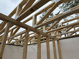 Custom Home Design Round Rock, TX 2