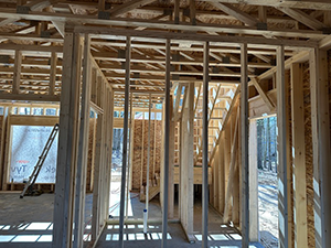 Smart Home Builder Round Rock, TX 1