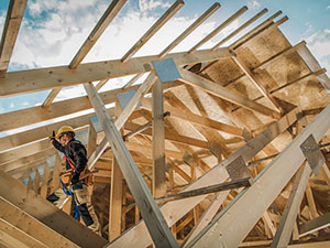 Design Homes Elgin, TX 1